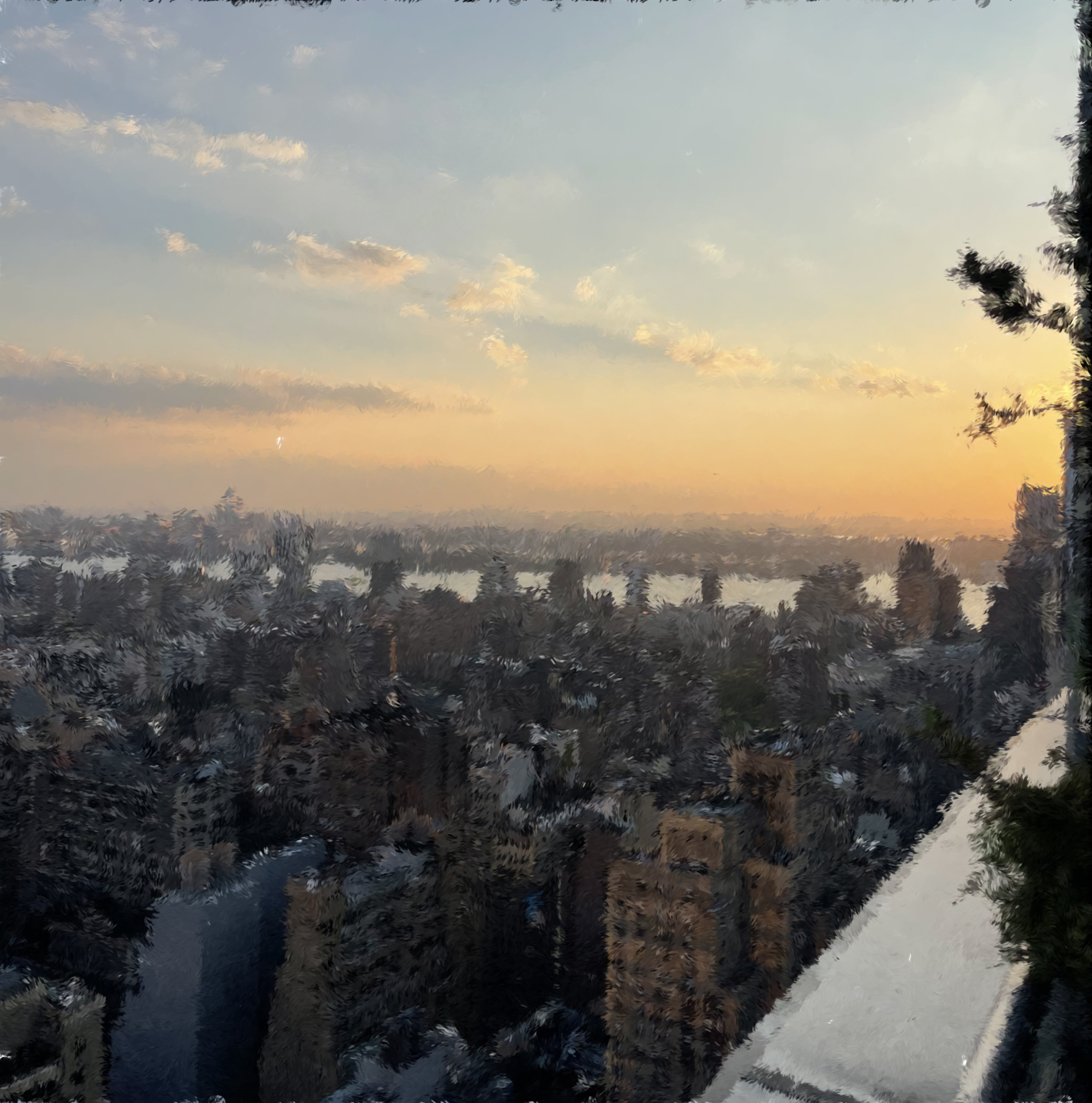 nyc